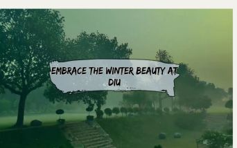 Winter Beauty